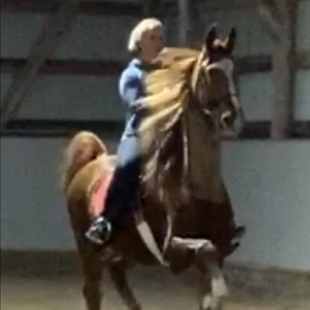 Meet your Posher, Abby